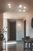 Lampa sufitowa dekoracyjny niklowany plafon w nowoczesnym stylu szklane klosze kule FLAMING 668900607 TRIO SELECT